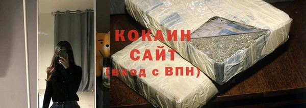 гидра Грязовец