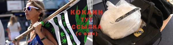 ПСИЛОЦИБИНОВЫЕ ГРИБЫ Медвежьегорск