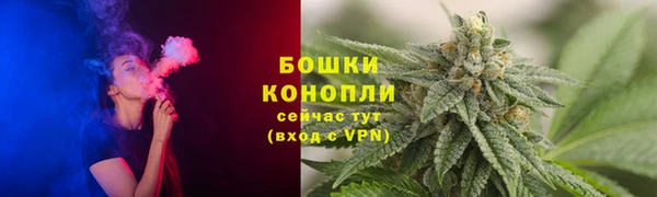 ПСИЛОЦИБИНОВЫЕ ГРИБЫ Медвежьегорск