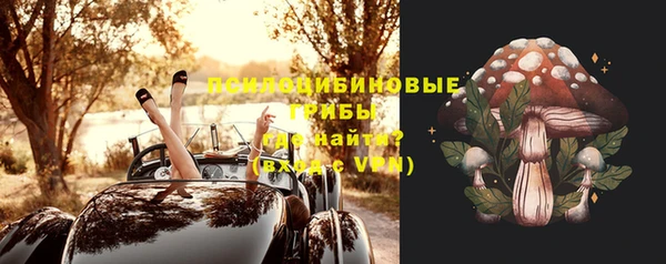 стаф Михайловск