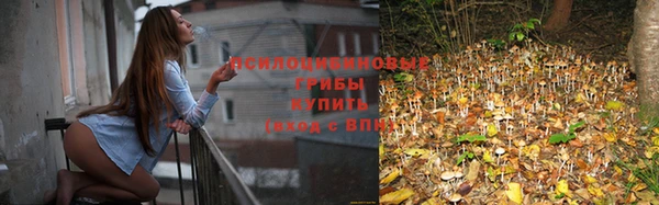 эйфоретик Михайловка