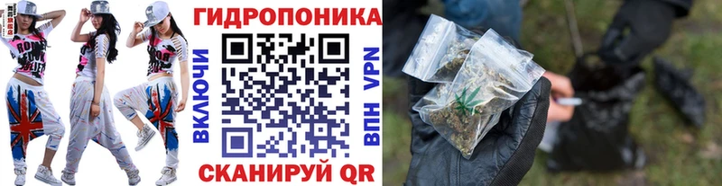 Каннабис конопля  купить наркотик  блэк спрут tor  Ивангород 
